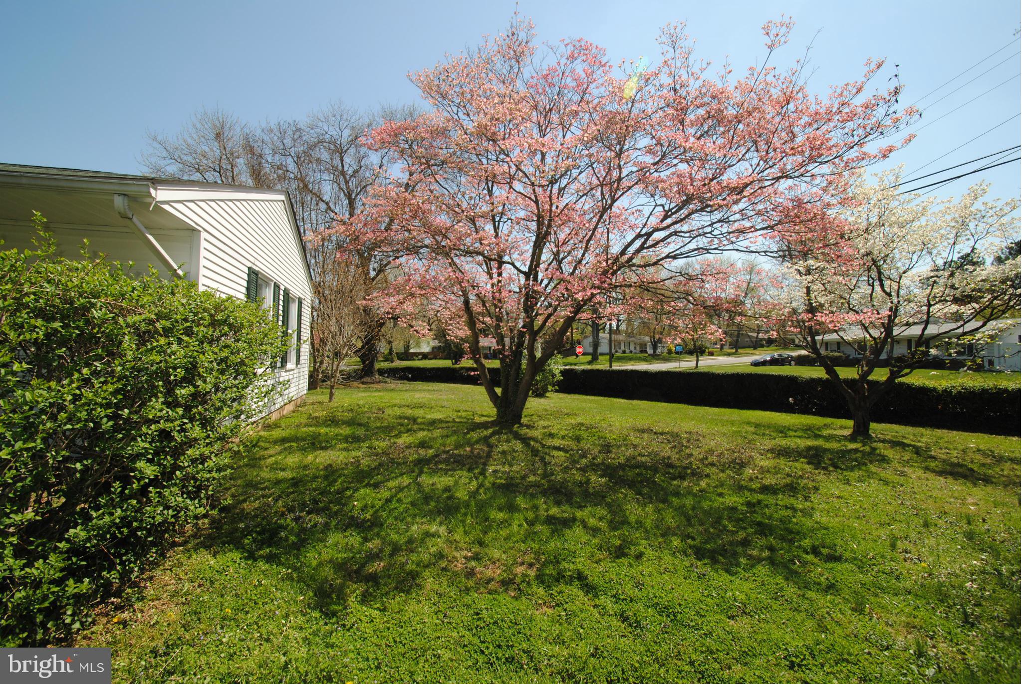 8110 Russell Road Alexandria, VA 22309 - Photo 22 of 29 Side Yard to front
