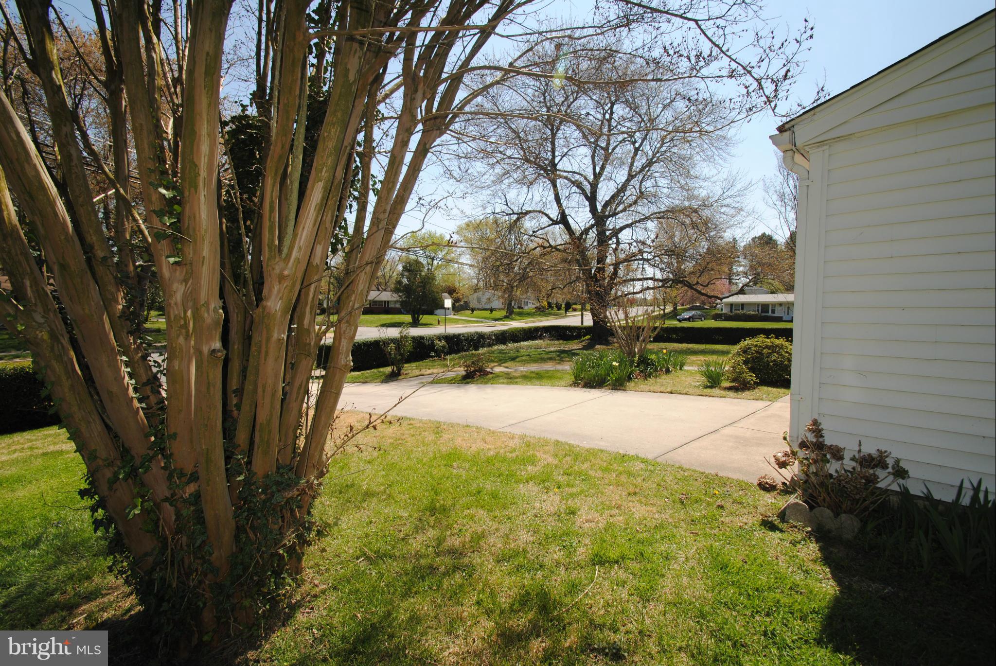 8110 Russell Road Alexandria, VA 22309 - Photo 24 of 29 Side Yard to Driveway