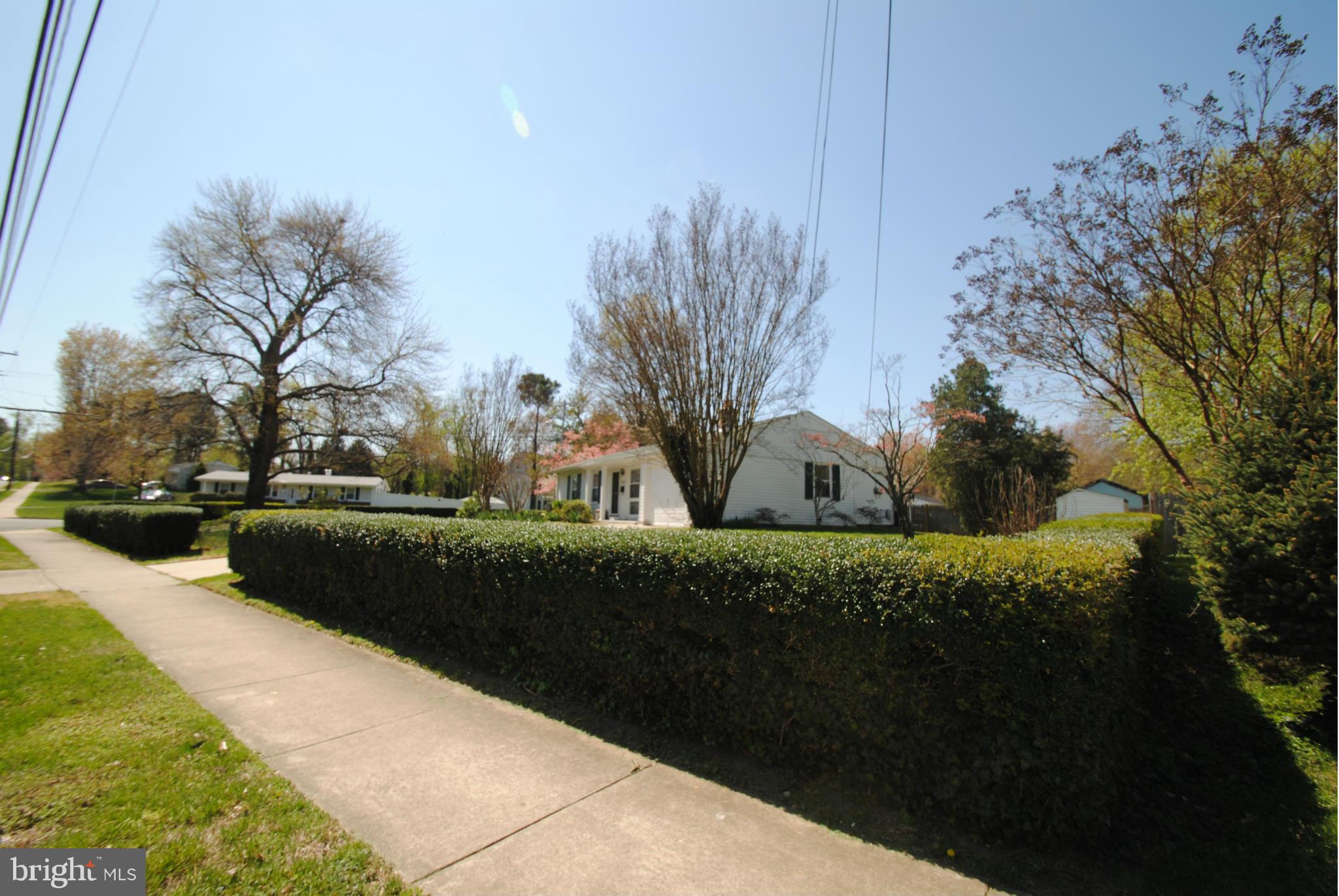 8110 Russell Road Alexandria, VA 22309 - Photo 26 of 29 Fabulous privacy hedge!
