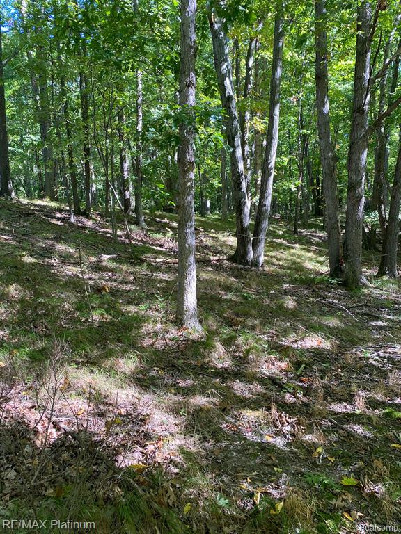 9532 Scully Road Whitmore Lake, MI 48189 - Photo 18 of 27