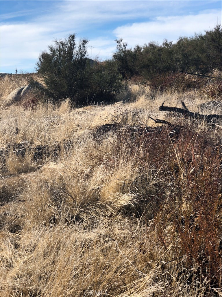 29 Rocky Knoll Road Hemet, CA 92544 - Photo 8 of 8 a view of mountain view with lots of trees