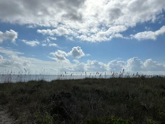 $1,250,000 | 2302 Palmetto Boulevard, Edisto Beach, SC 29438
