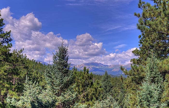 656 Golden Willow Road Evergreen, CO 80439 - Photo 20 of 22 Gallery Image 20