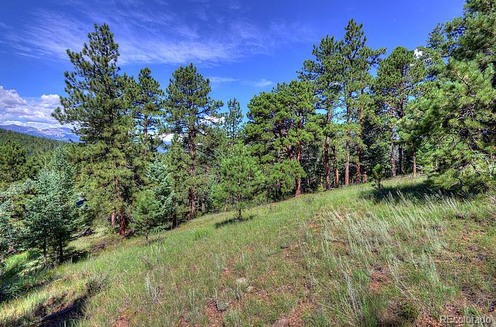 656 Golden Willow Road Evergreen, CO 80439 - Photo 22 of 22 Gallery Image 22