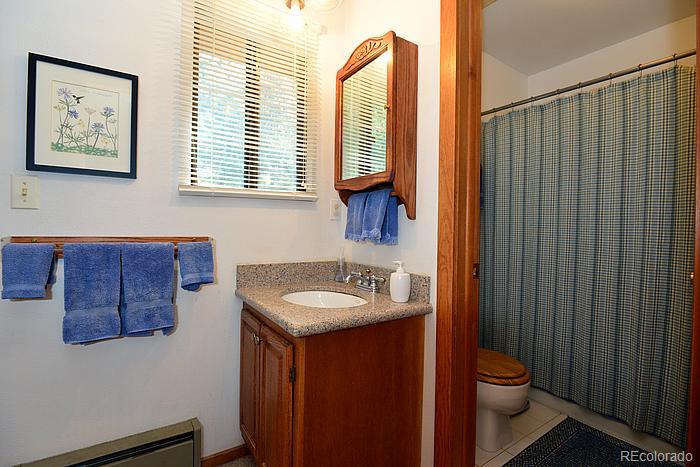656 Golden Willow Road Evergreen, CO 80439 - Photo 4 of 22 Gallery Image 4