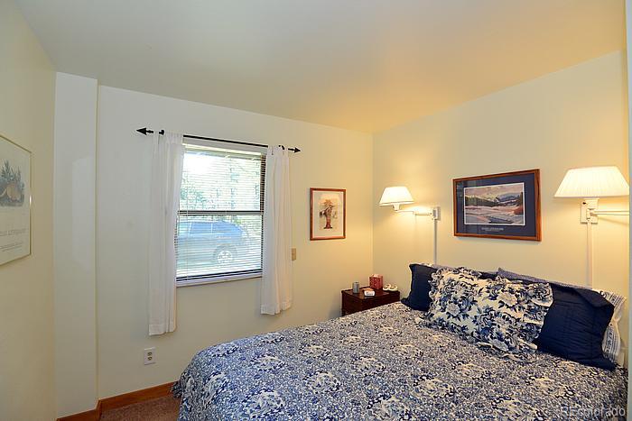 656 Golden Willow Road Evergreen, CO 80439 - Photo 6 of 22 Gallery Image 6