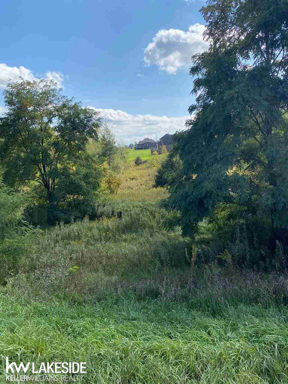 0 31 31 Mile Road Washington, MI 48095 - Photo 1 of 1