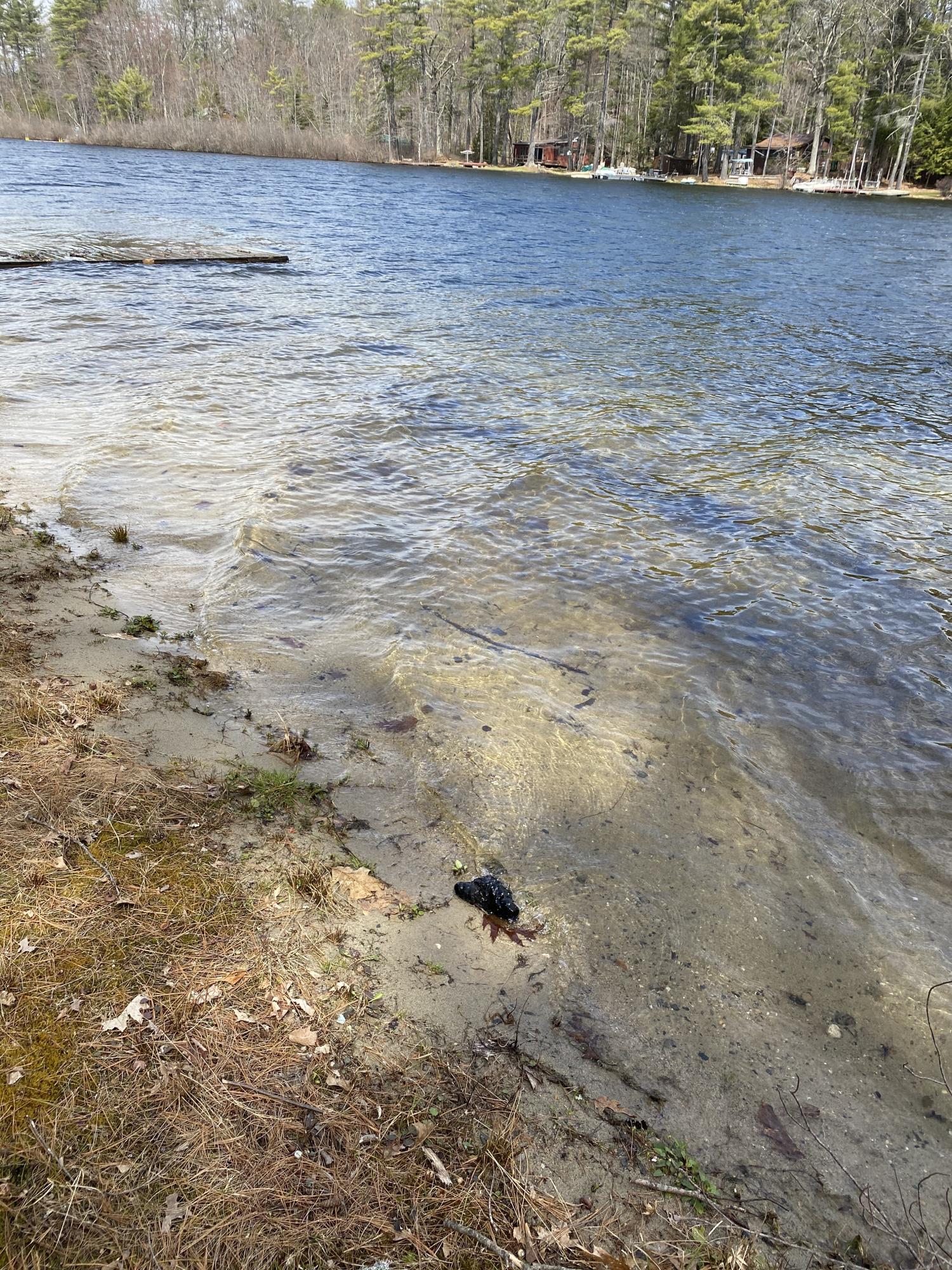 142 Cottage Road Limerick, ME 04048 - Photo 14 of 19 waterfront