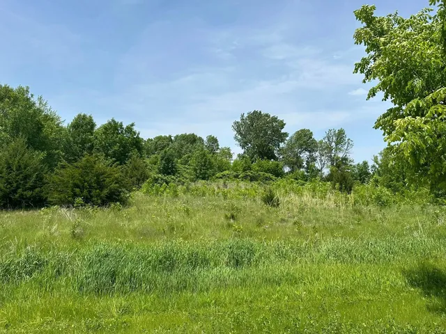 $169,900 | 29036 Biehn Drive, Madison Lake, MN 56063