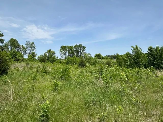 $169,900 | 29036 Biehn Drive, Madison Lake, MN 56063