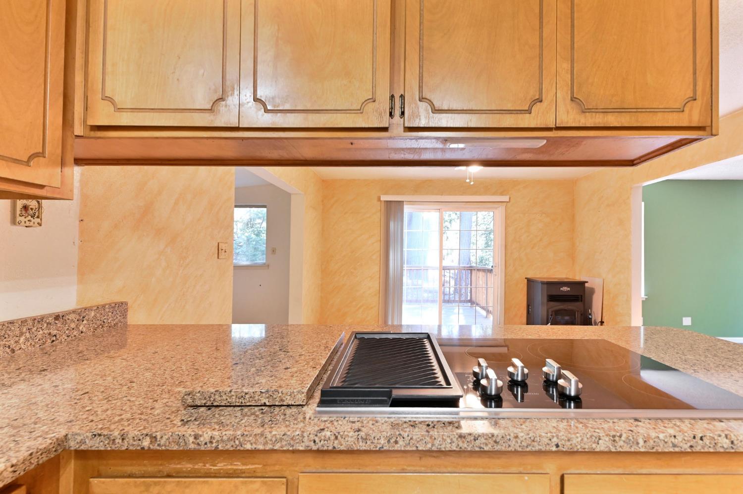 17884 Ruggles Court Pioneer, CA 95666 - Photo 15 of 37