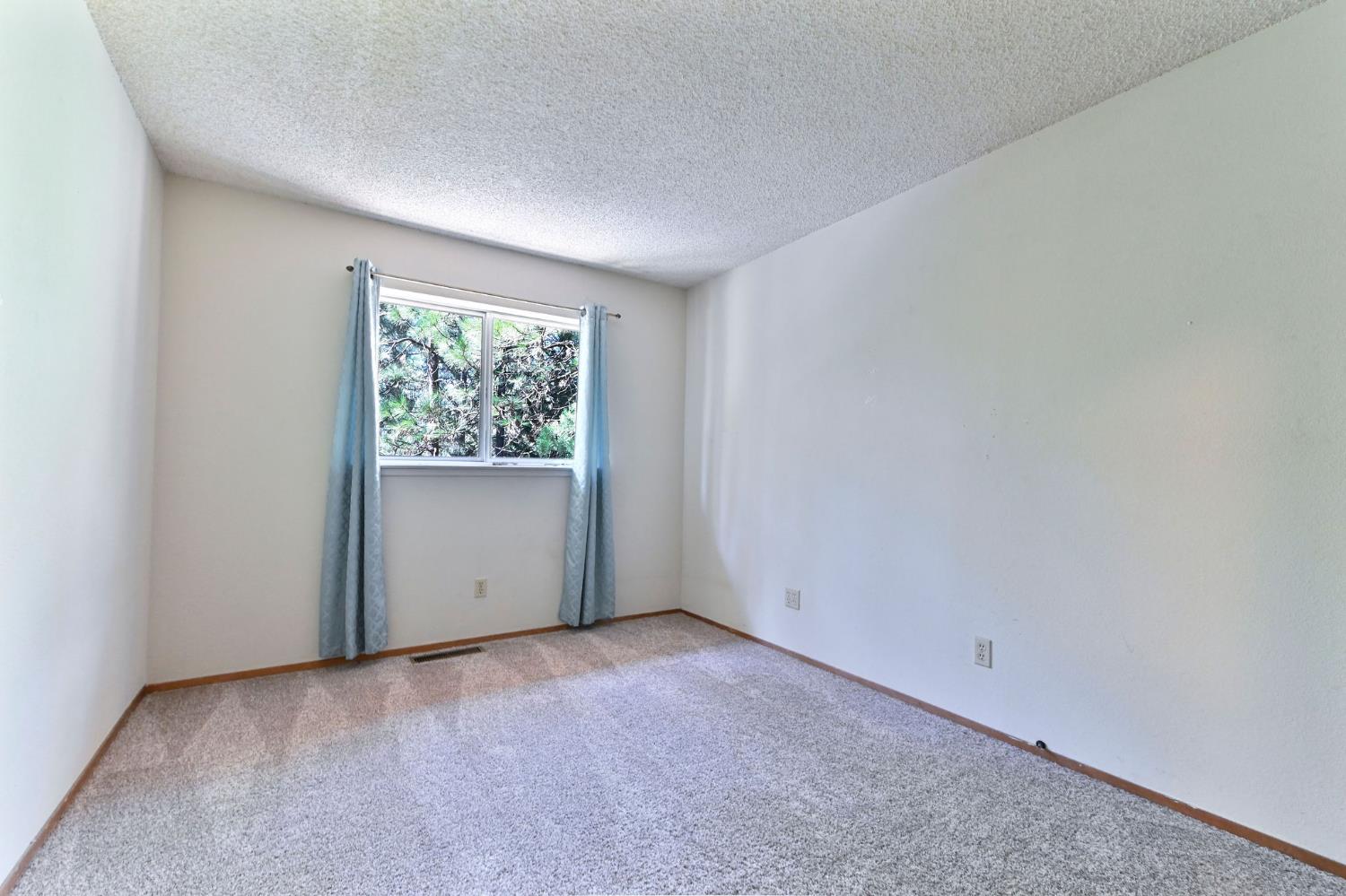 17884 Ruggles Court Pioneer, CA 95666 - Photo 22 of 37