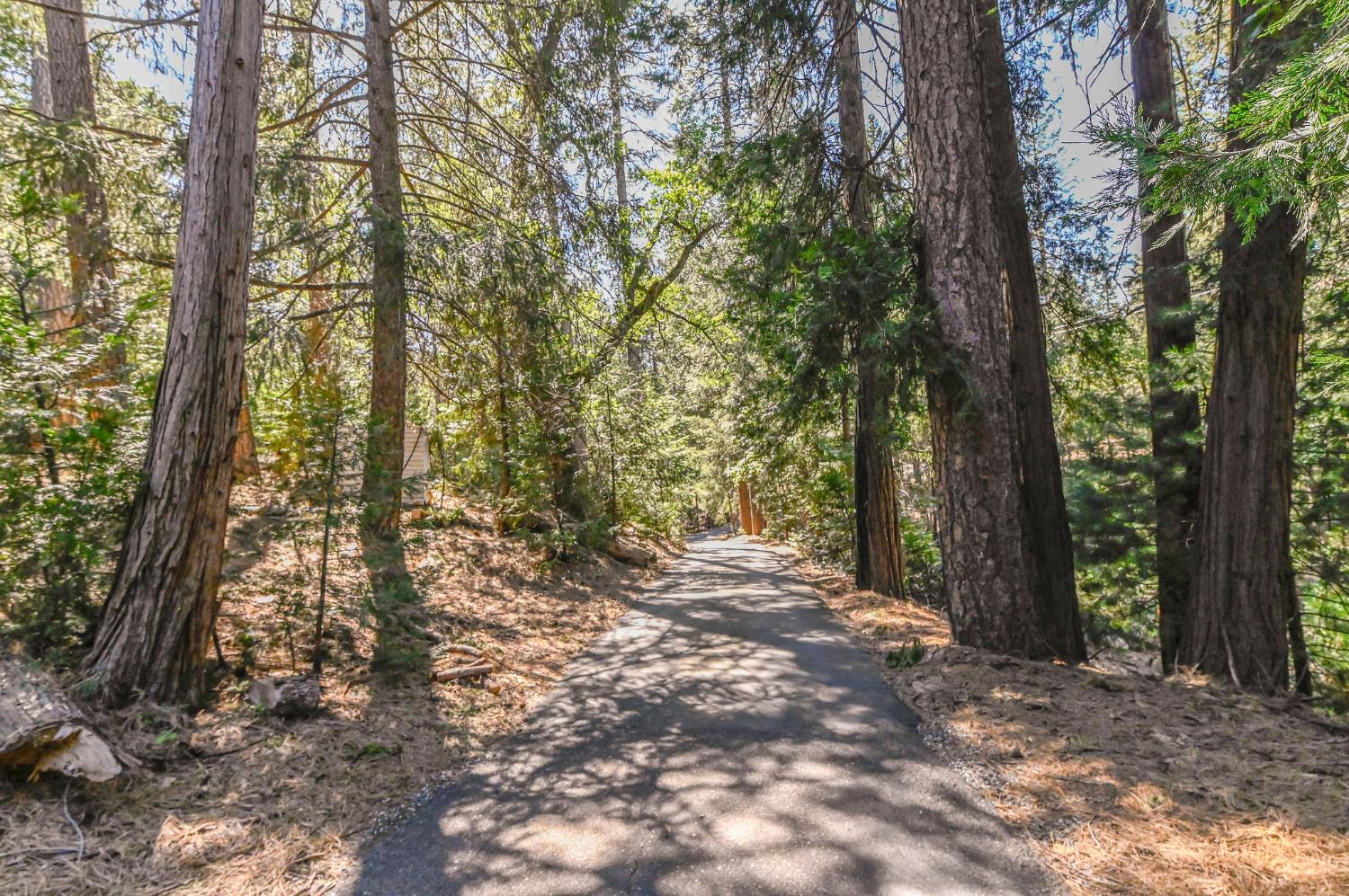 17884 Ruggles Court Pioneer, CA 95666 - Photo 35 of 37