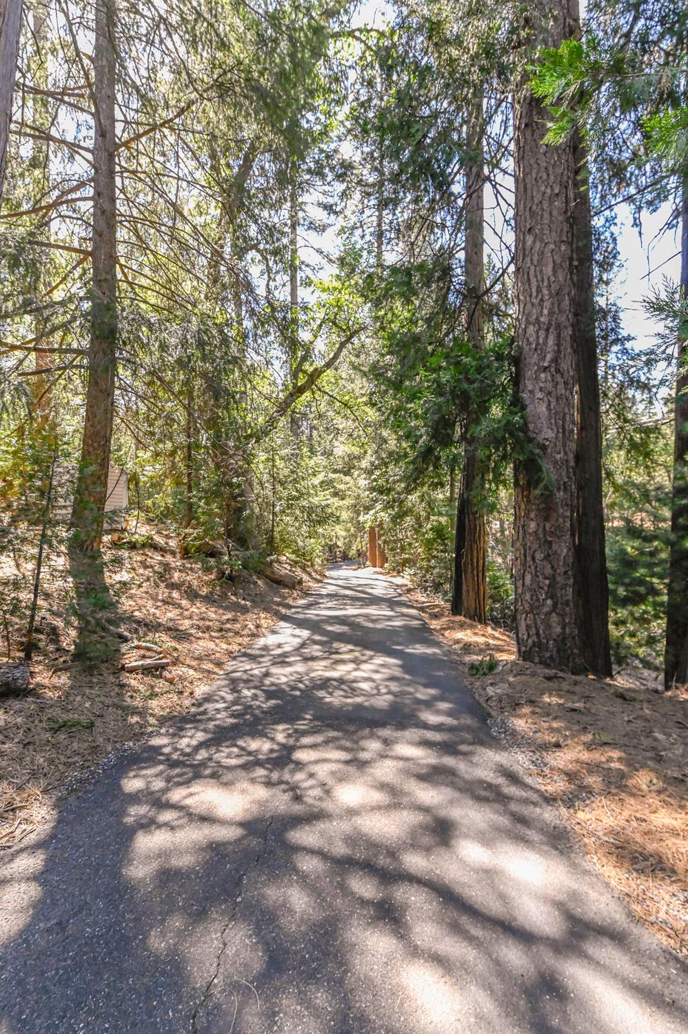 17884 Ruggles Court Pioneer, CA 95666 - Photo 36 of 37