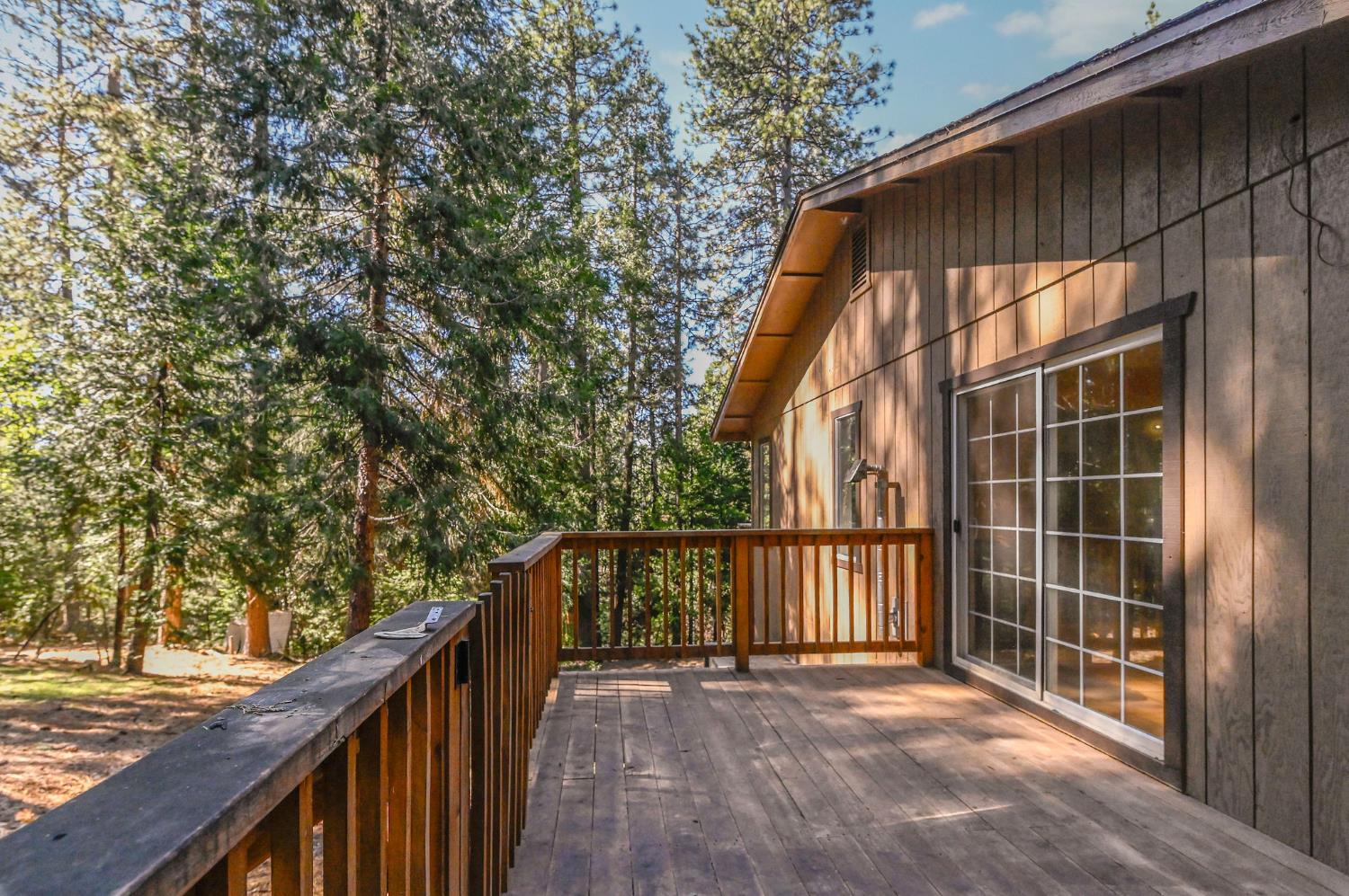 17884 Ruggles Court Pioneer, CA 95666 - Photo 4 of 37