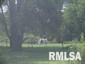 986 Hallidayboro Road Elkville, IL 62932 - Photo 2 of 5