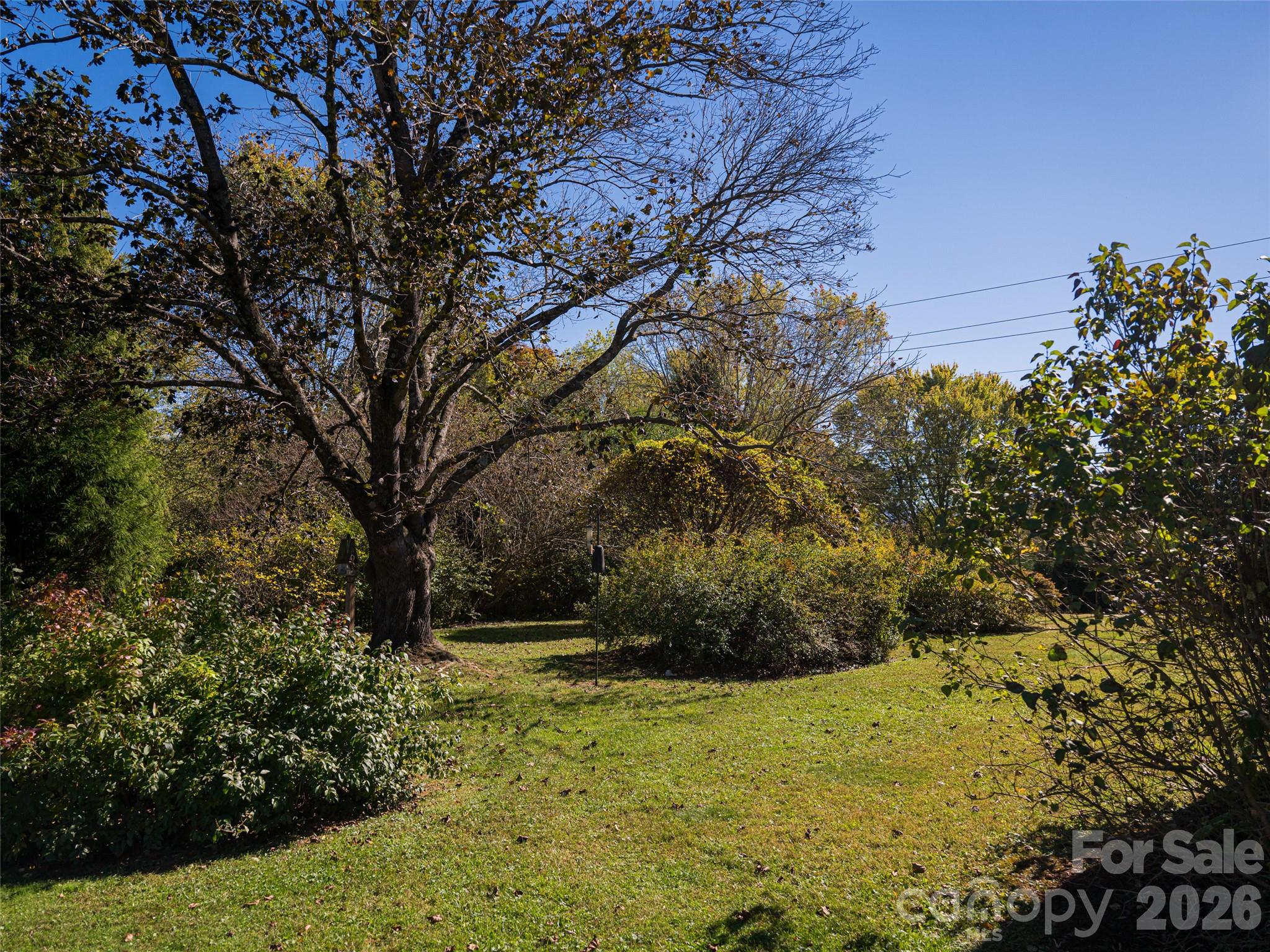 352 Justice Ridge Road Candler, NC 28715 - Photo 43 of 48