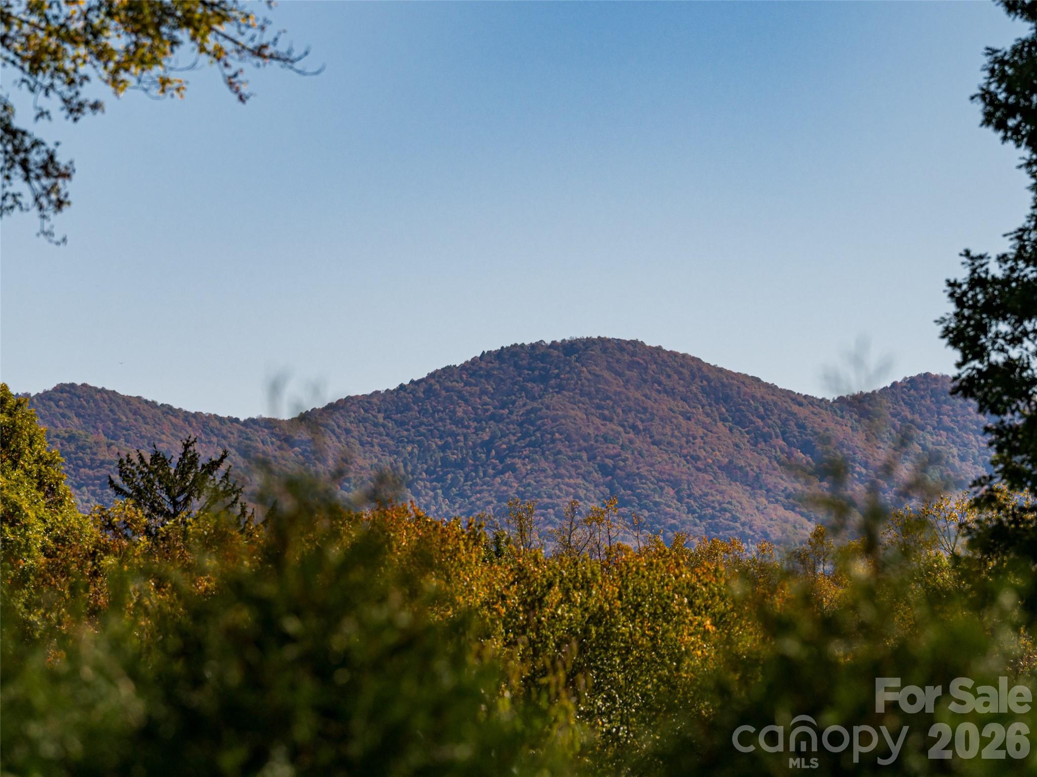 352 Justice Ridge Road Candler, NC 28715 - Photo 45 of 48 a view of mountains and valleys