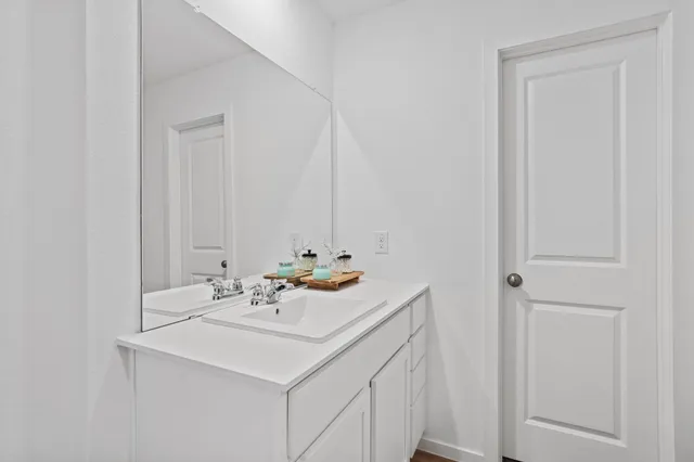 a bathroom with a sink and a mirror