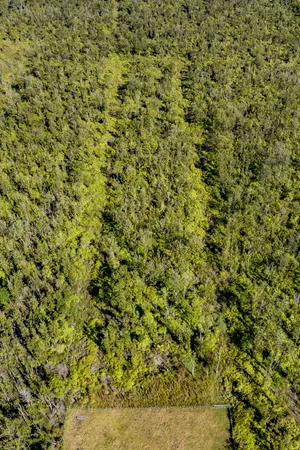 $535,000 | 11-2420 Ohialani Road, Mountain View, HI 96771