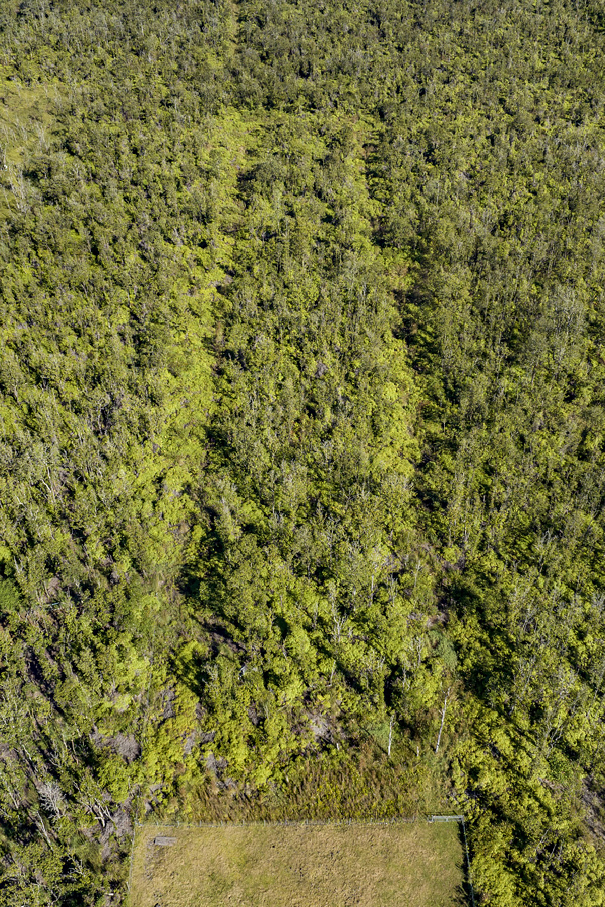11-2420 Ohialani Road Mountain View, HI 96771 - Photo 30 of 30 a view of a yard