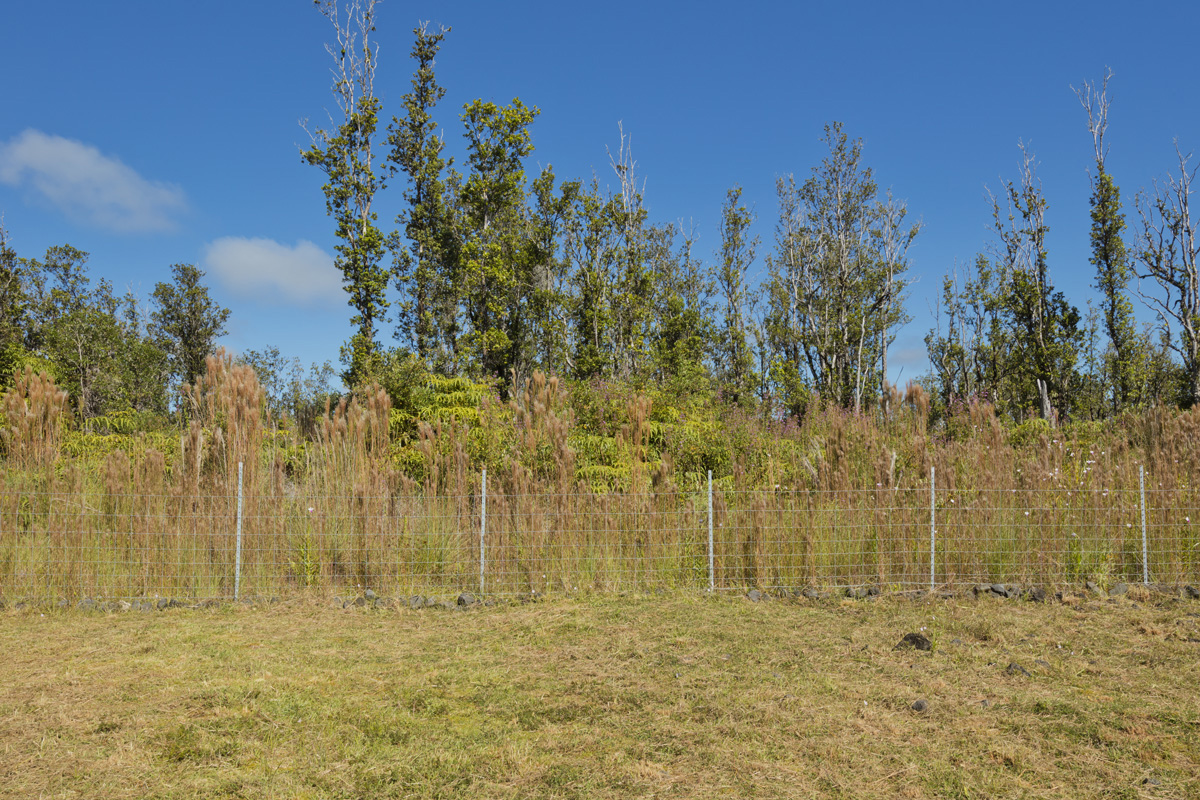 11-2420 Ohialani Road Mountain View, HI 96771 - Photo 7 of 30 a view of beach with large trees