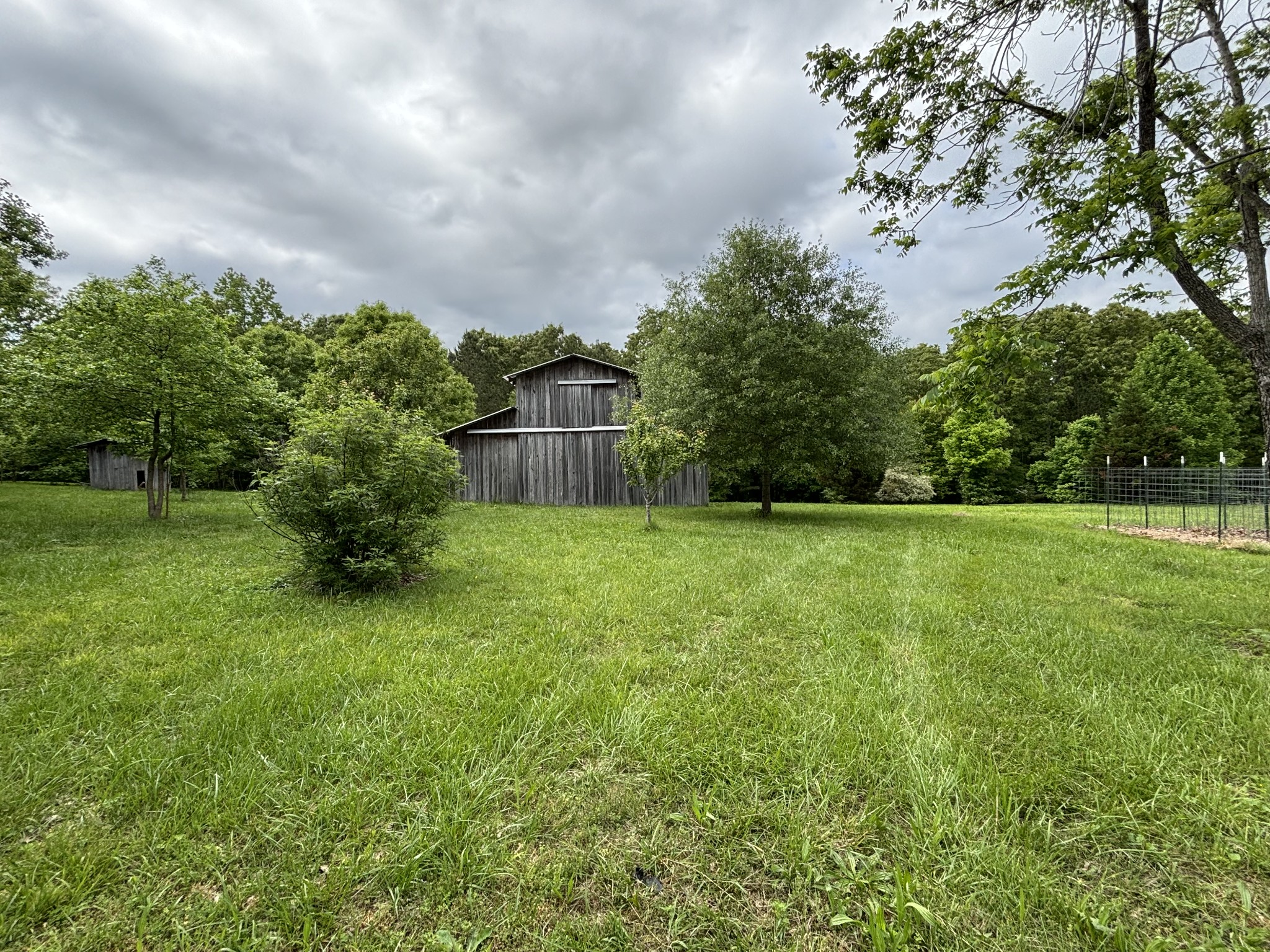 204 Revilo Road Leoma, TN 38468 - Photo 3 of 19 a backyard of a house with lots of green space