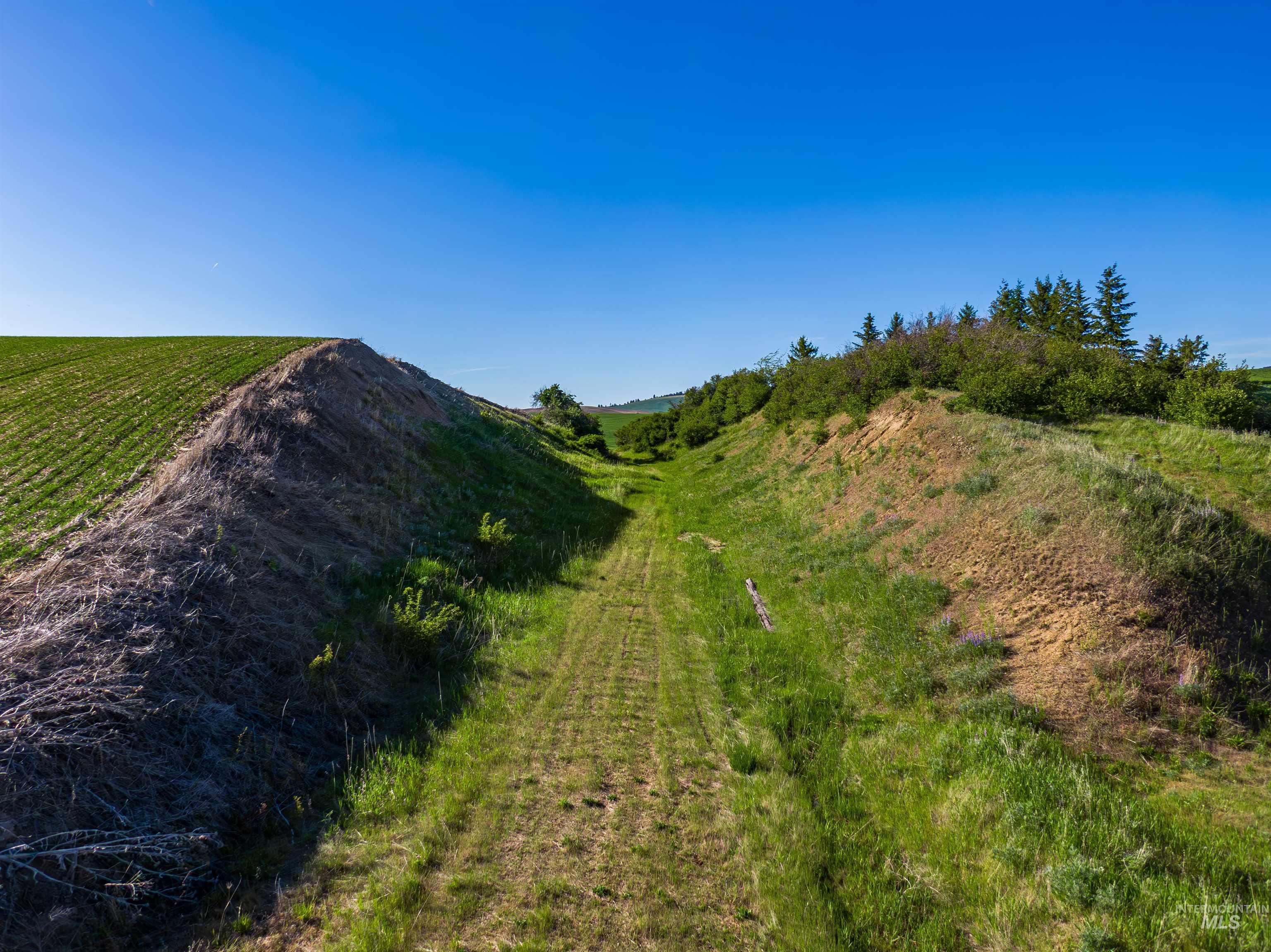 Tbd/000 Mix Road Moscow, ID 83843 - Photo 23 of 31 Mountain view featuring rural landscape