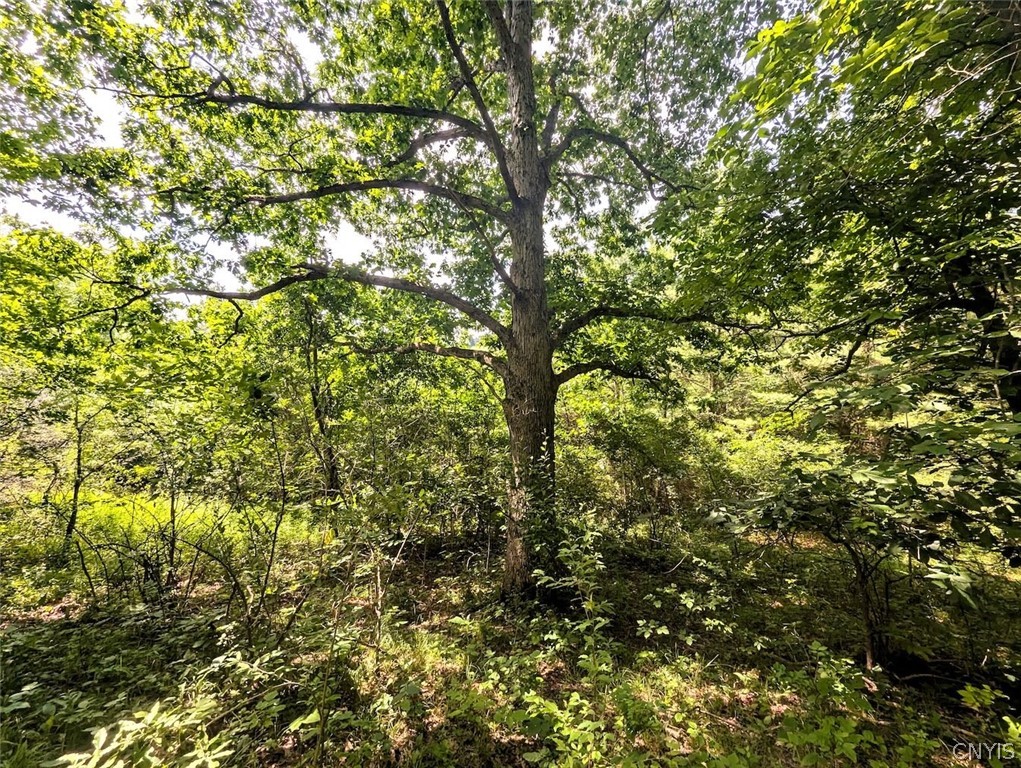 Keifer Hollow Road Dansville, NY 14437 - Photo 27 of 33