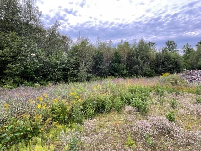 M12-l28-4 Shadagee Road Cornville, ME 04976 - Photo 2 of 6 IMG_7883
