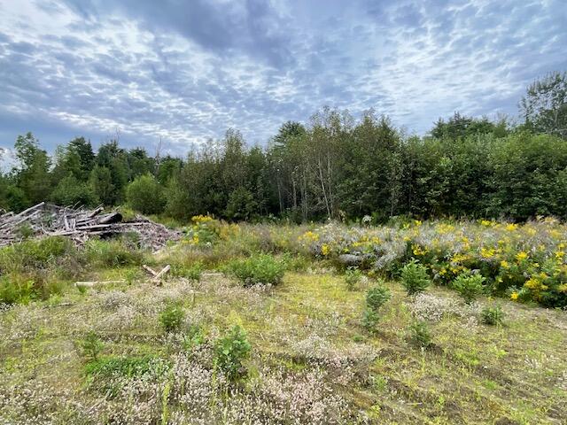 M12-l28-4 Shadagee Road Cornville, ME 04976 - Photo 3 of 6 IMG_7884