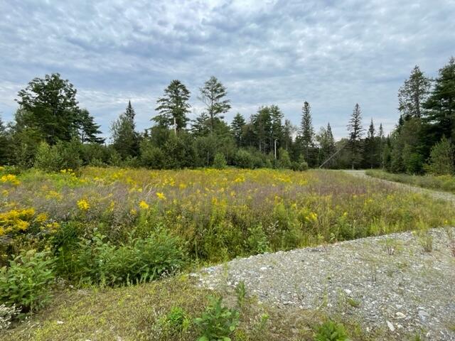 M12-l28-4 Shadagee Road Cornville, ME 04976 - Photo 4 of 6 IMG_7885