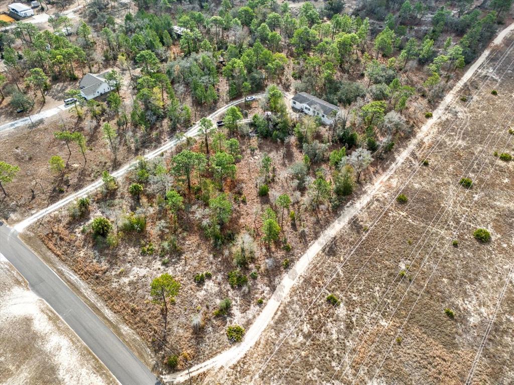 14018 Hexam Road Brooksville, FL 34613 - Photo 15 of 17 a view of a garden with a plant