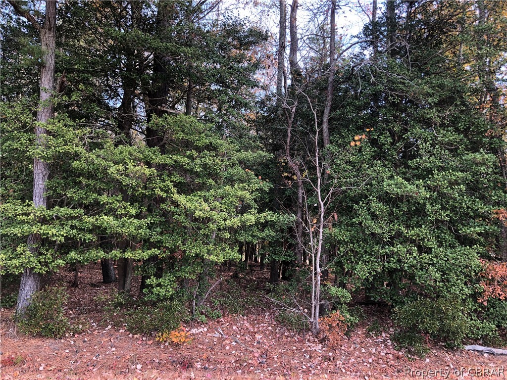 0 Myrtle Grove Lane Bohannon, VA 23021 - Photo 3 of 3 East River Rd side of property
