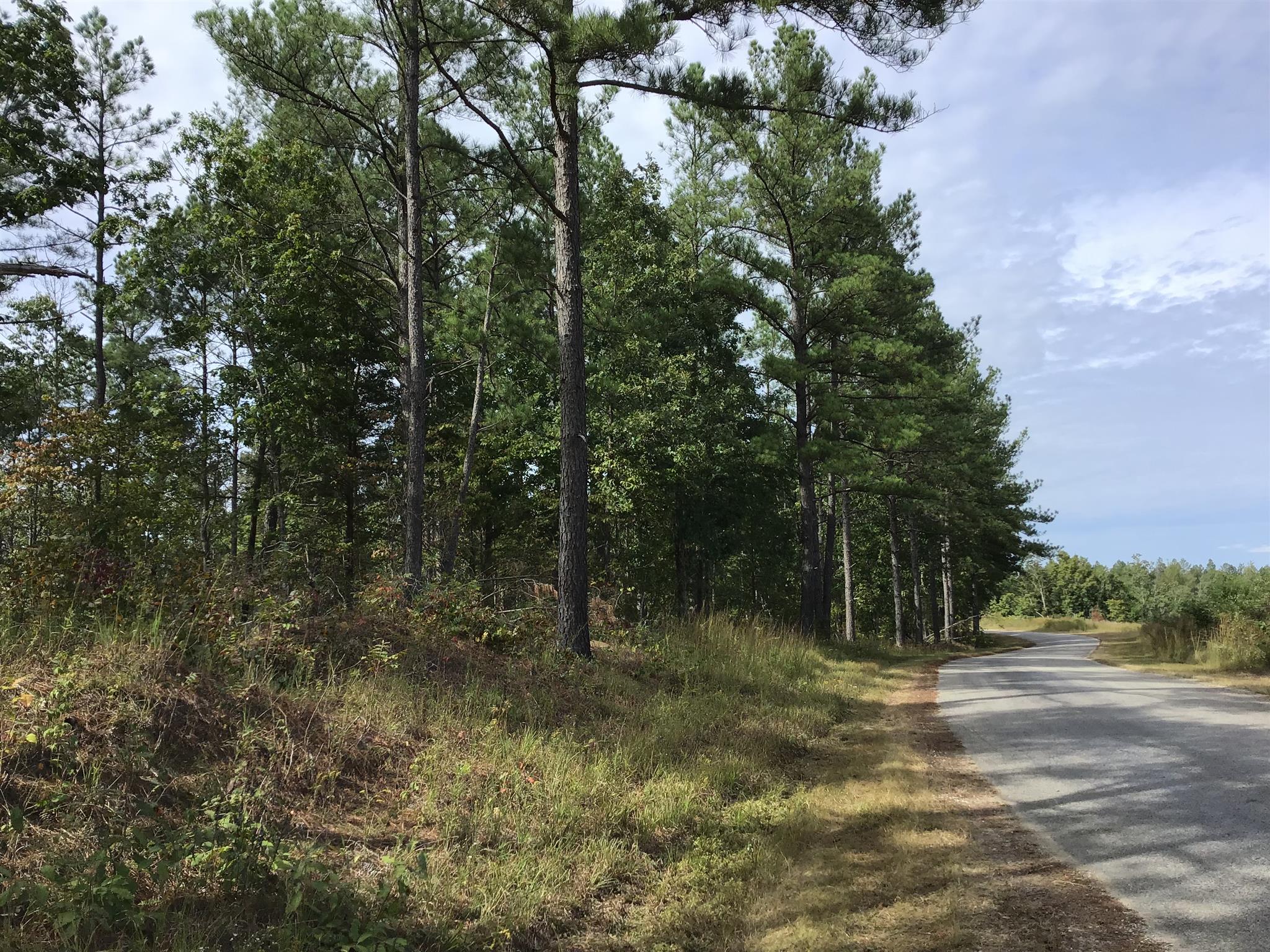 0 Sassafras Ridge Road Linden, TN 37096 - Photo 5 of 9 a view of a forest with trees in the background
