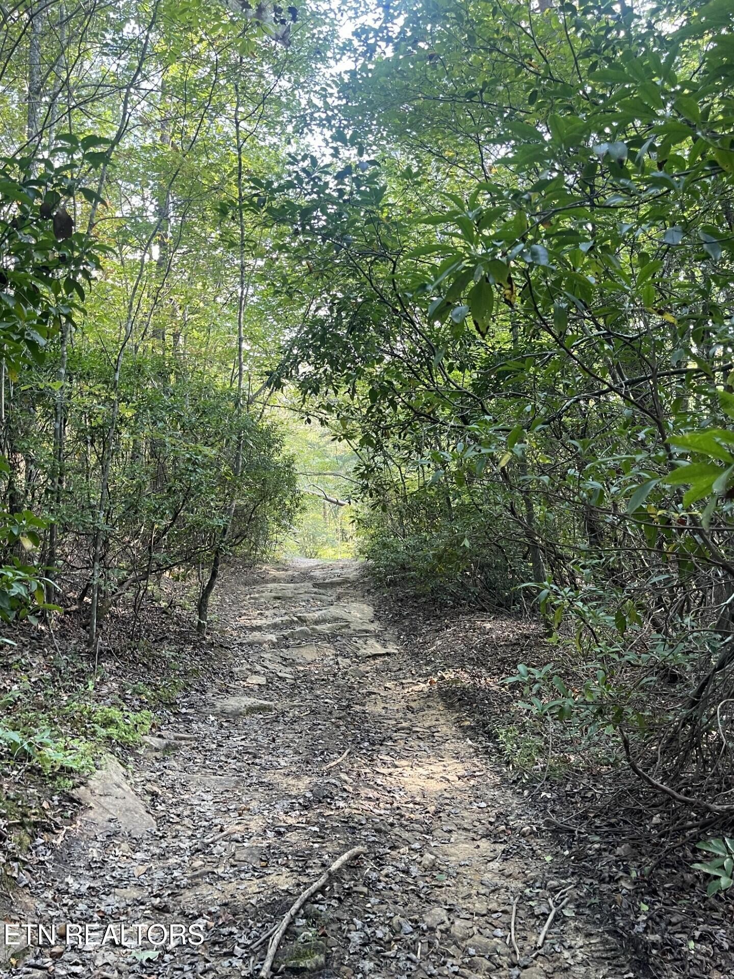 Gallery Image 6