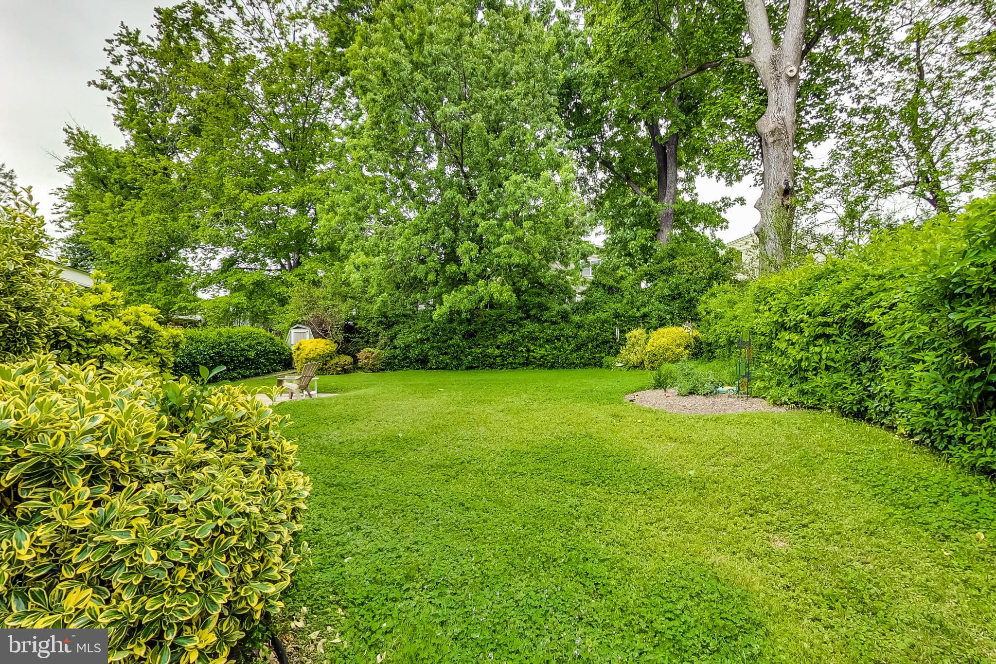 10028 Greenock Road Silver Spring, MD 20901 - Photo 38 of 44 Lush Rear Yard