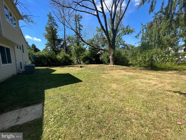 a row of trees with yard