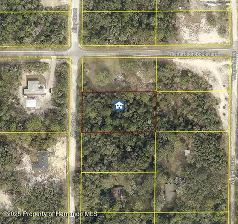 $45,000 | Lot 15 Alloy Street, Webster, FL 33597