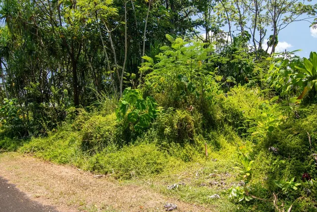 $45,000 | 1627 South Opakapaka Street, Pahoa, HI 96778