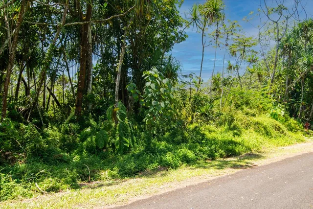 $45,000 | 1627 South Opakapaka Street, Pahoa, HI 96778