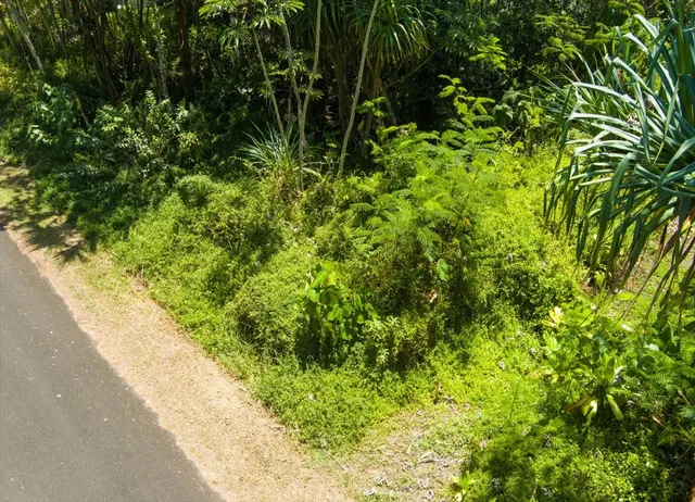 $45,000 | 1627 South Opakapaka Street, Pahoa, HI 96778