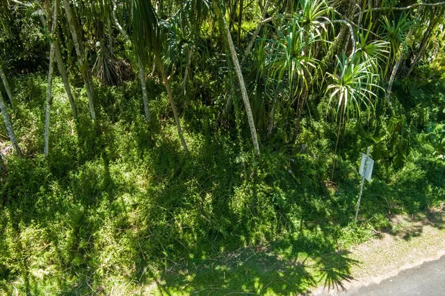 $45,000 | 1627 South Opakapaka Street, Pahoa, HI 96778