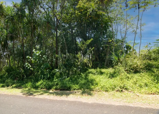 $45,000 | 1627 South Opakapaka Street, Pahoa, HI 96778