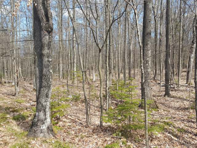 Lot 1 West Carpenter Lake Road Eagle River, WI 54521 - Photo 3 of 17 Gallery Image 3