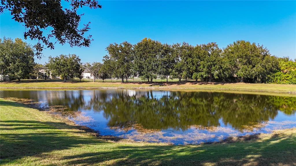 12271 Lavender Loop Bradenton, FL 34212 - Photo 49 of 80