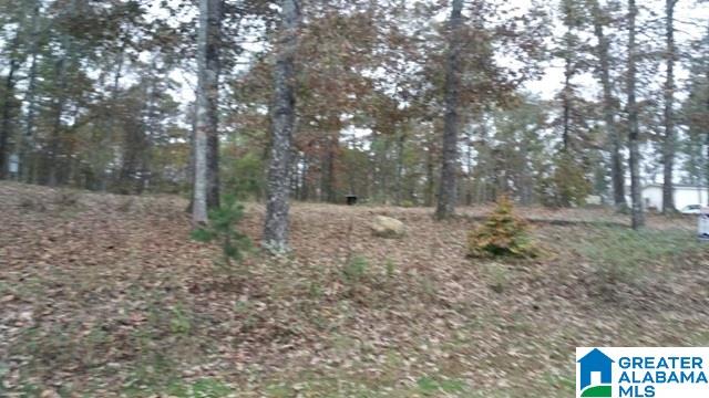 135 Honeysuckle Way, Unit 1 Riverside, AL 35135 - Photo 13 of 14