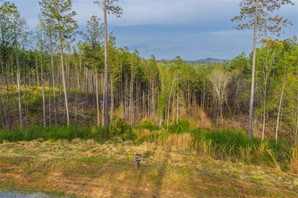 226 West Vista Ridge Parkway Talking Rock, GA 30175 - Photo 1 of 25