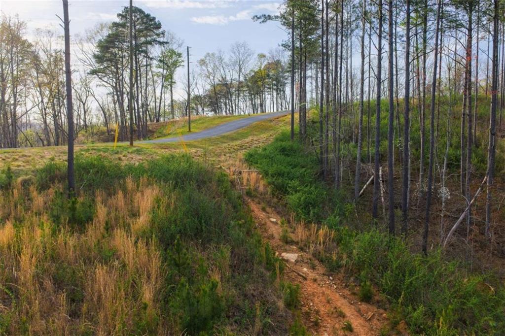 226 West Vista Ridge Parkway Talking Rock, GA 30175 - Photo 11 of 25