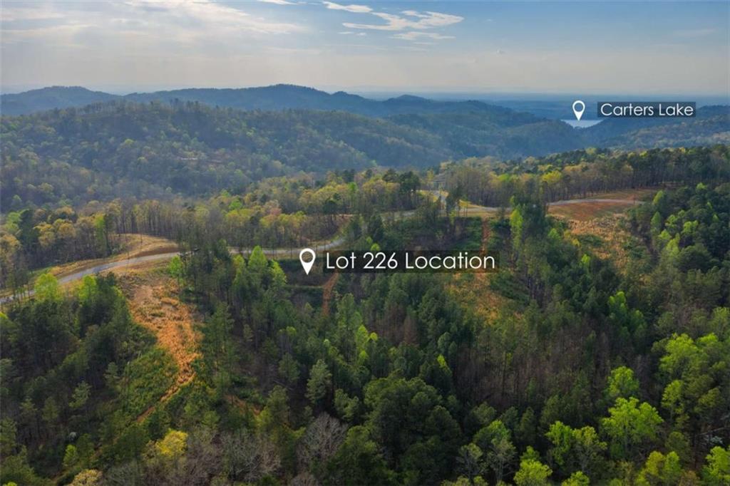 226 West Vista Ridge Parkway Talking Rock, GA 30175 - Photo 2 of 25